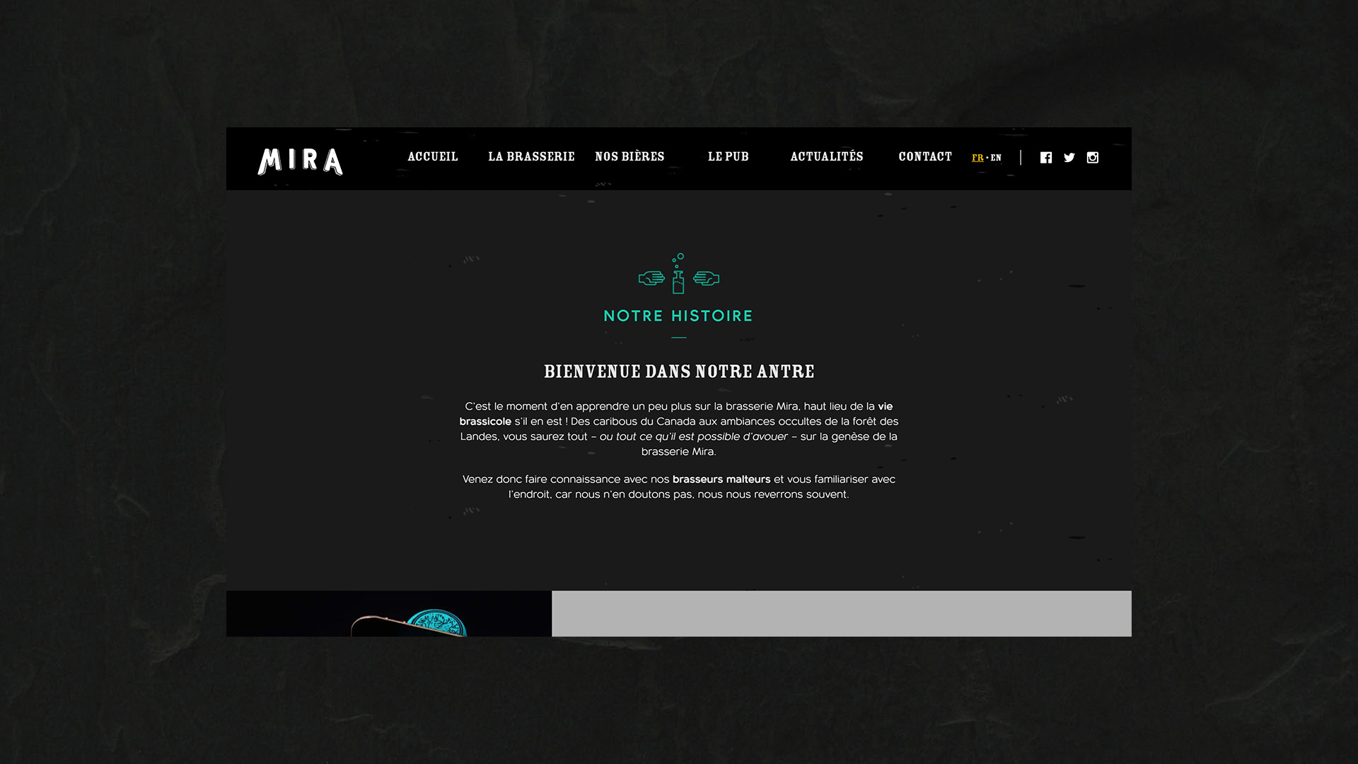 Ecran du site Brasserie Mira
